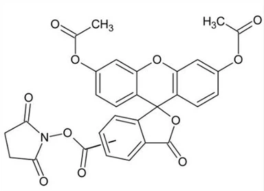 CAS:150347-59-4|5(6)-CFDA N-succinimidil Ester