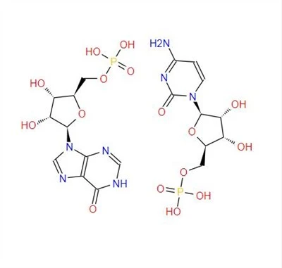 CAS:24939-03-5丨Acid poliinozinic-acid policitidilic